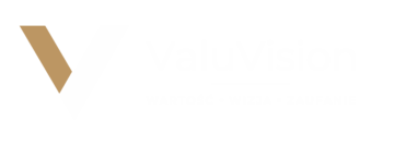 valuvision logo 1